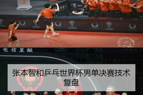 张本智和乒乓世界杯男单决赛技术复盘